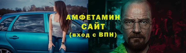ECSTASY Алзамай