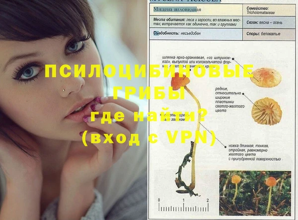 ГАЛЛЮЦИНОГЕННЫЕ ГРИБЫ Абдулино