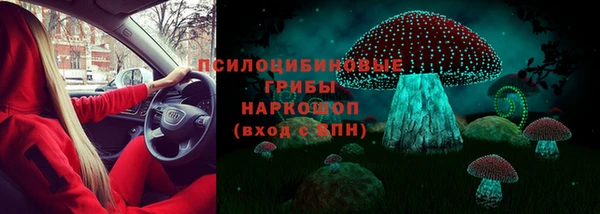 СК Алексеевка