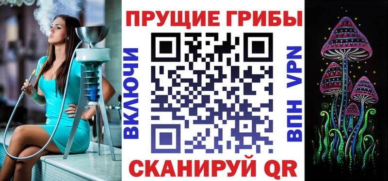Псилоцибиновые грибы GOLDEN TEACHER  Циолковский 