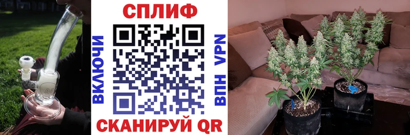 Каннабис семена Циолковский